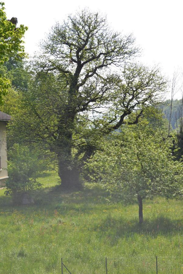 Hotel L'Echo Des Montagnes Armoy Esterno foto